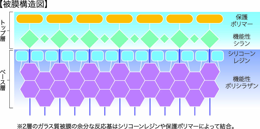 EXE-evo1 被膜構造図