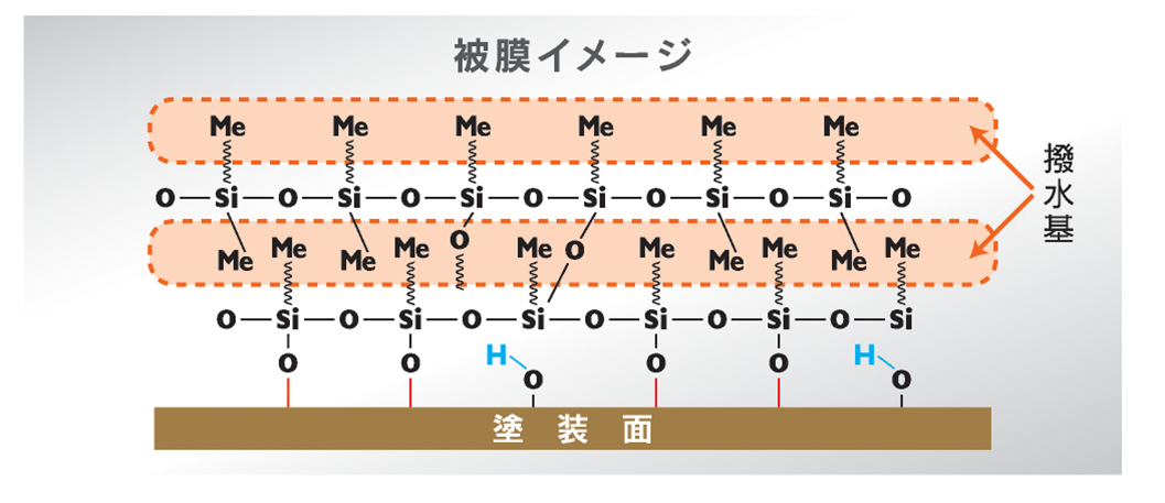 分子構造の解説図